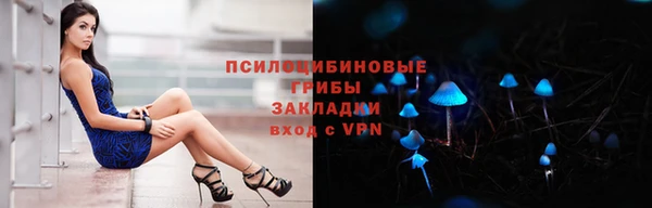 стафф Абдулино